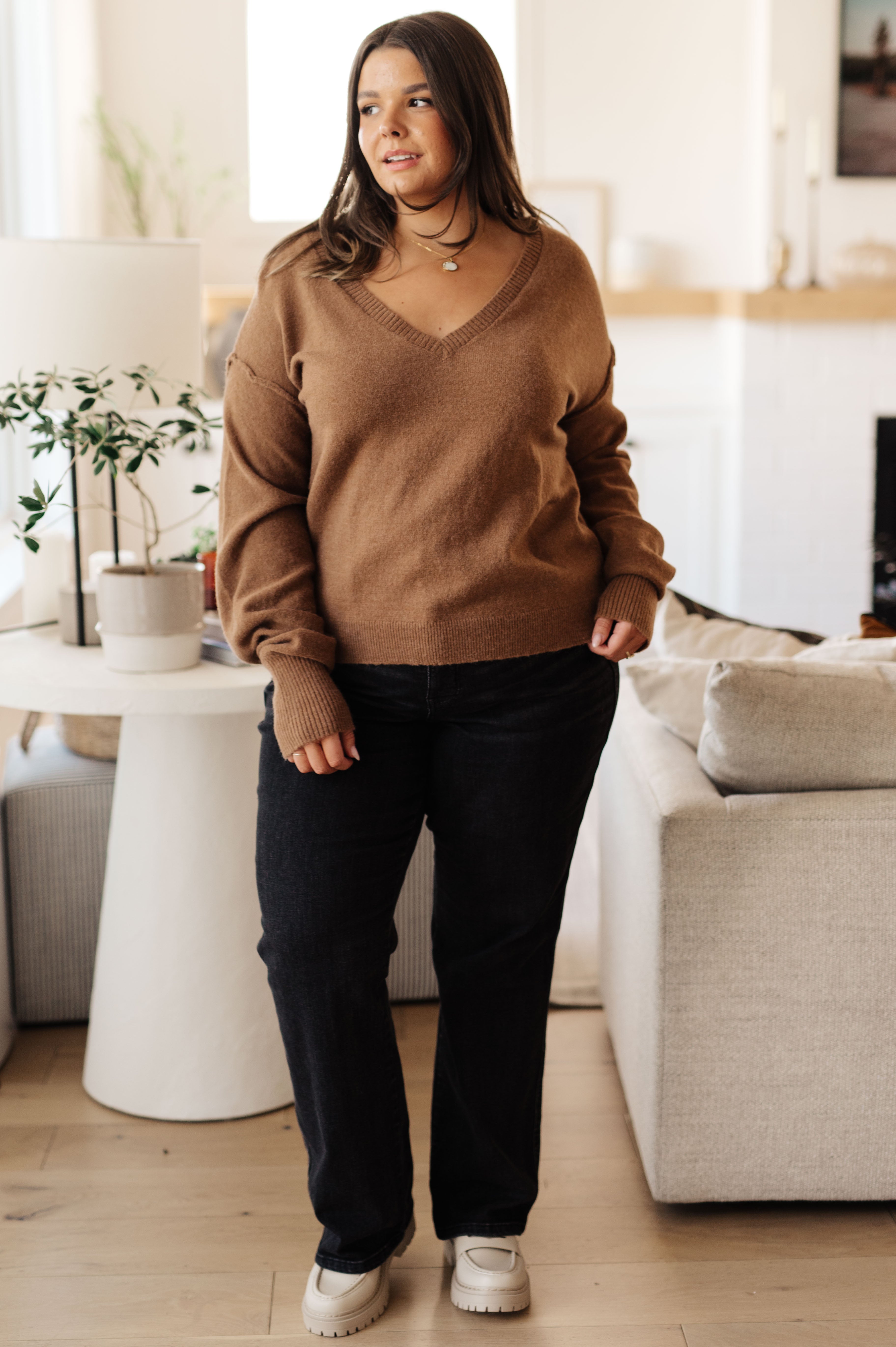 Back to Life V-Neck Sweater in Mocha